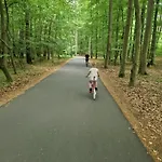 Goscinne * Chłopy