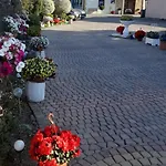 Goscinne Chłopy